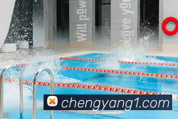 qy球友会官网登录平台生态图